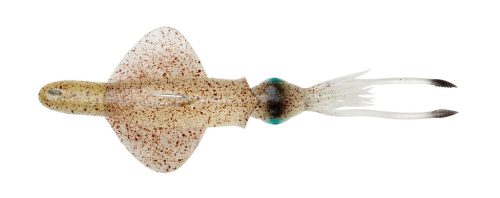 SWIM SQUID RTF 25CM 200GR S GREEN EYE